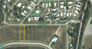 Blue Lake - Highlands County Lot For Sale in Lake Placid Florida