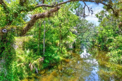 Lake Acreage For Sale in Valrico, Florida