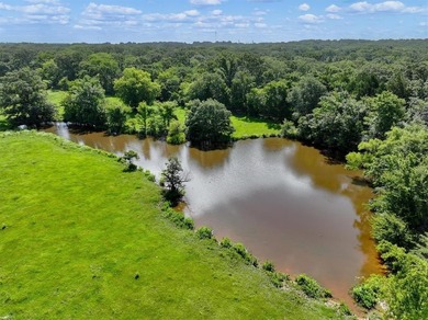 (private lake, pond, creek) Acreage For Sale in Fruitvale Texas