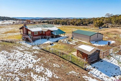 (private lake, pond, creek) Home For Sale in Ignacio Colorado