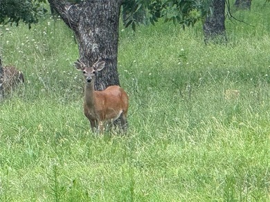 Lake Granbury Acreage For Sale in Granbury Texas