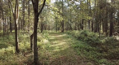 If you are looking for privacy and stunning scenery, look no - photo 6