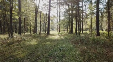 If you are looking for privacy and stunning scenery, look no - photo 7