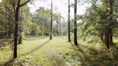 If you are looking for privacy and stunning scenery, look no - photo 8
