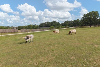 RARE OPPRTUNITY to own 29 acres with multiple income producing - photo 12