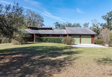 (private lake, pond, coastal) Home For Sale in Mcalpin Florida