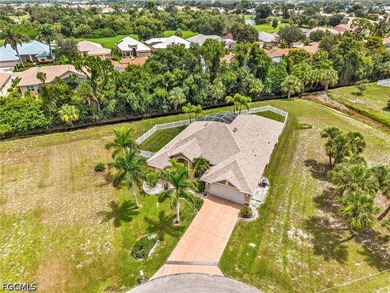 Start your SW Florida life off in a new home in Burnt Store - photo 7