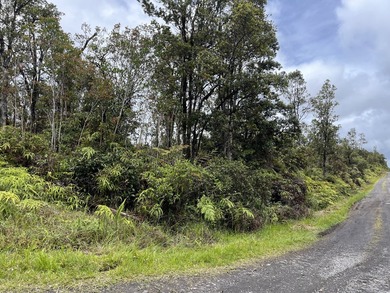 Rarely available Gorgeous Square 3 acre Corner Property in Fern - photo 2