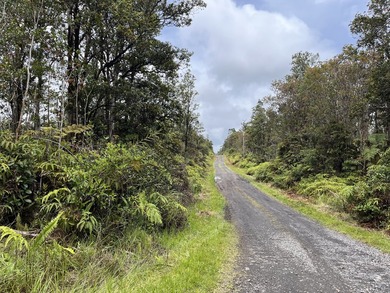 Rarely available Gorgeous Square 3 acre Corner Property in Fern - photo 3