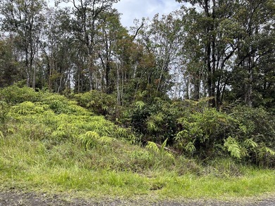 Rarely available Gorgeous Square 3 acre Corner Property in Fern - photo 4