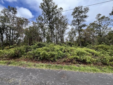 Rarely available Gorgeous Square 3 acre Corner Property in Fern - photo 8