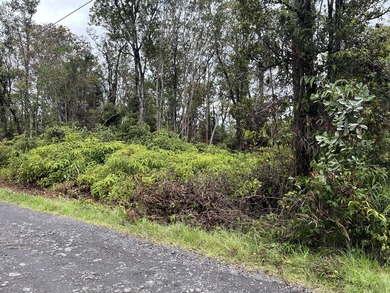 Rarely available Gorgeous Square 3 acre Corner Property in Fern - photo 10