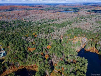 Lake Acreage For Sale in Forestburgh, New York