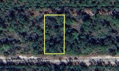 Lake Weohyakapka (Lake Walk-In-Water) Lot For Sale in Indian Lake Estates Florida