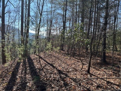 5.53 UNRESTRICTED mountain land. This property is nestled in the - photo 11