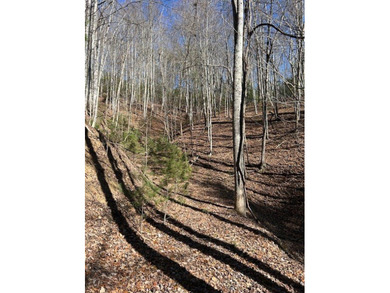 5.53 UNRESTRICTED mountain land. This property is nestled in the - photo 12