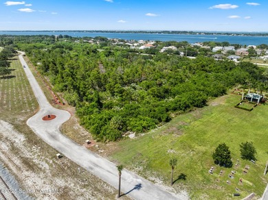 Excellent opportunity for vacant land purchase featuring 12 - photo 12