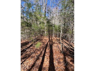 5.53 UNRESTRICTED mountain land. This property is nestled in the - photo 14