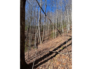 5.53 UNRESTRICTED mountain land. This property is nestled in the - photo 15