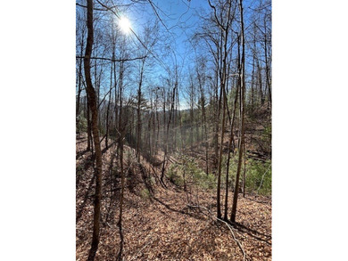 5.53 UNRESTRICTED mountain land. This property is nestled in the - photo 16