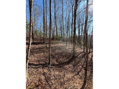 5.53 UNRESTRICTED mountain land. This property is nestled in the - photo 17