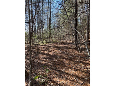 5.53 UNRESTRICTED mountain land. This property is nestled in the - photo 18