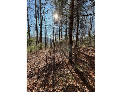 5.53 UNRESTRICTED mountain land. This property is nestled in the - photo 19