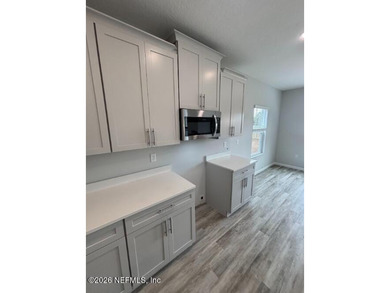 MODEL HOME HOSTED BY INDIA GREEN: 1253 JEWELSTONE LN OPEN: - photo 3