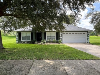 Lake Home For Sale in Minneola, Florida