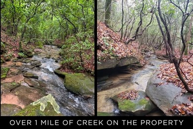 Escape to the North Georgia mountains with this rare 32.2-acre - photo 4