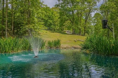 Escape to the North Georgia mountains with this rare 32.2-acre - photo 9