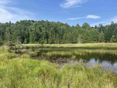 (private lake, pond, creek) Acreage For Sale in Albany Vermont