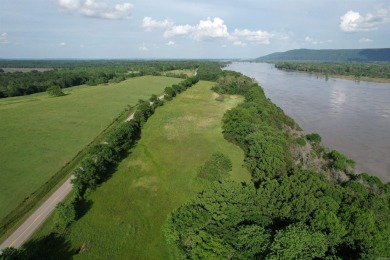 Lake Acreage For Sale in Atkins, Arkansas