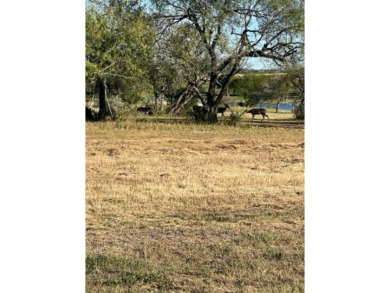 PRIME WATERFRONT Property!!! Deepest part of Lake Corpus Christi - photo 7