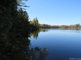 (private lake, pond, creek) Acreage For Sale in Michigamme Michigan