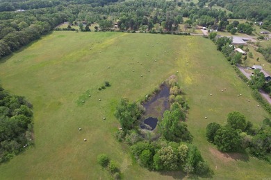 This 40 acre parcel just across the road from Lake Atkins is - photo 6