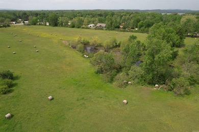 This 40 acre parcel just across the road from Lake Atkins is - photo 7