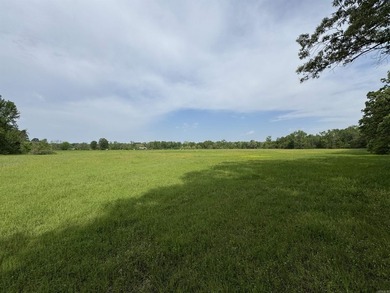 This 40 acre parcel just across the road from Lake Atkins is - photo 8