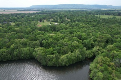 Lake Acreage For Sale in Atkins, Arkansas