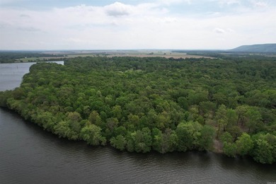 This stunning property includes lots of shorefront on Lake - photo 3