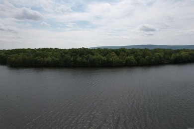 This stunning property includes lots of shorefront on Lake - photo 4