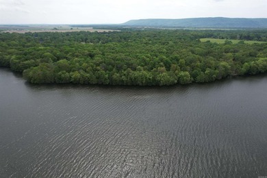 This stunning property includes lots of shorefront on Lake - photo 5