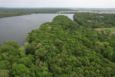 This stunning property includes lots of shorefront on Lake - photo 6