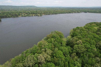 This stunning property includes lots of shorefront on Lake - photo 7