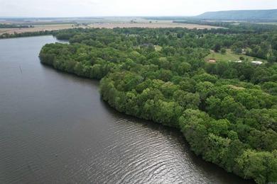 This stunning property includes lots of shorefront on Lake - photo 9