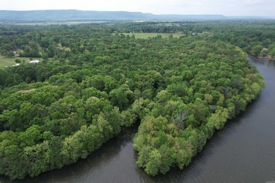 This stunning property includes lots of shorefront on Lake - photo 10