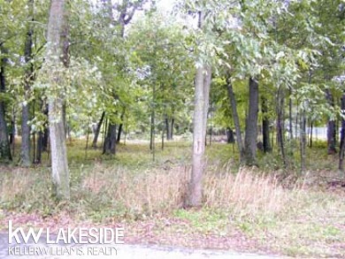 Saginaw Bay  Lot For Sale in Sand Point Michigan