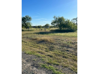 Lake Acreage For Sale in Sandia, Texas