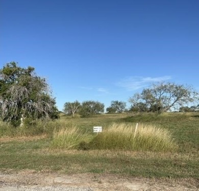 Lake Corpus Christi Lot For Sale in Sandia Texas