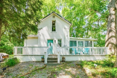 Lake Chapin Home For Sale in Berrien Springs Michigan
